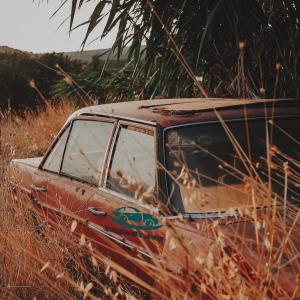 Sell your vehicle for cash